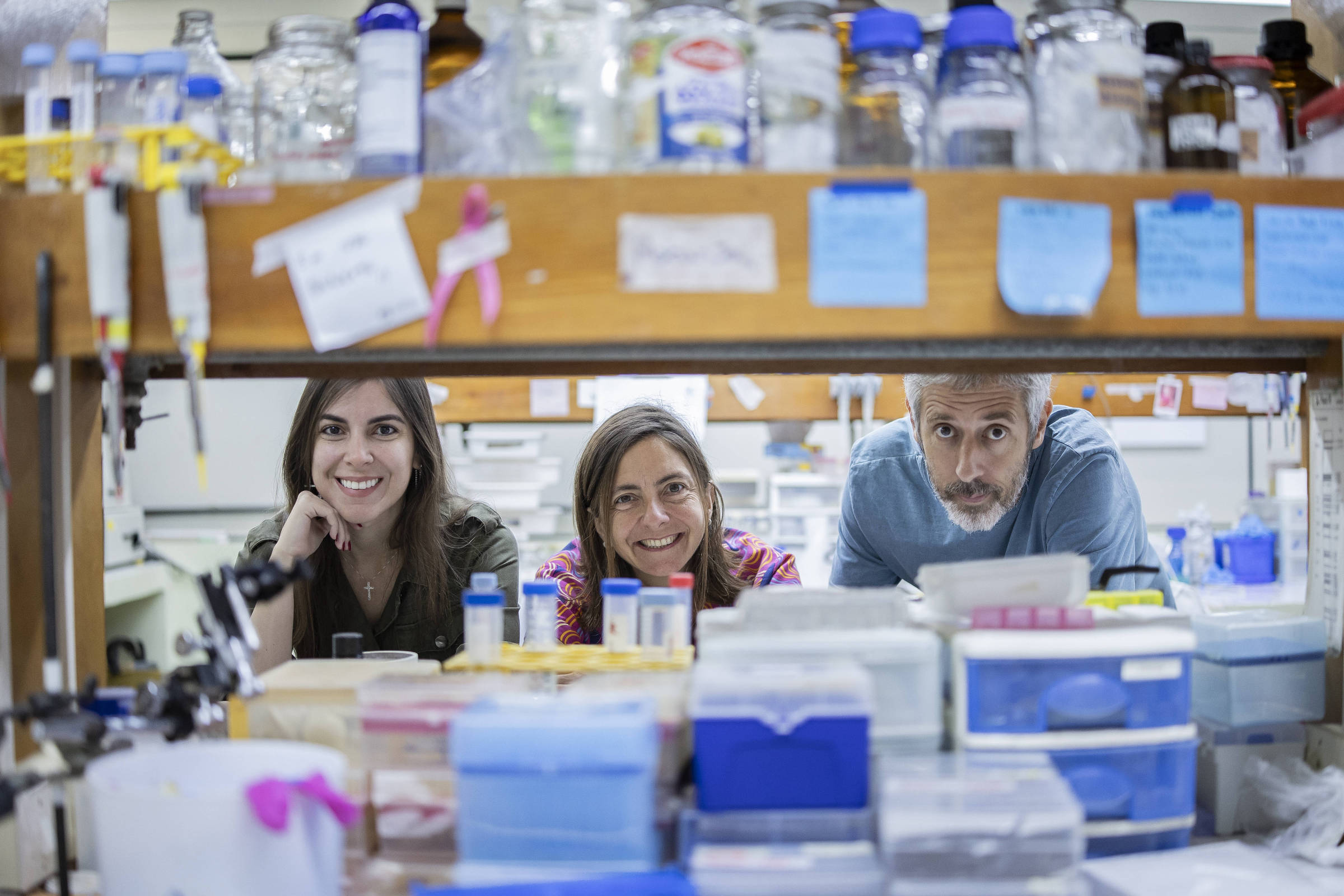 Estudo identifica 21% de reprodutibilidade em biomédica - 09/04/2025 - Ciência